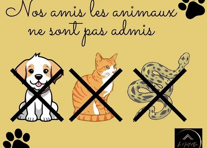 L'eclat Travot Lumineux Vue Sublime * Cholet